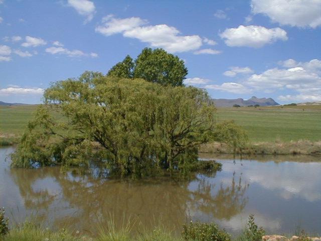 Villa Royal Coachman Clarens Exterior foto